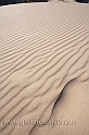 Chia (40D_12083_2rid)